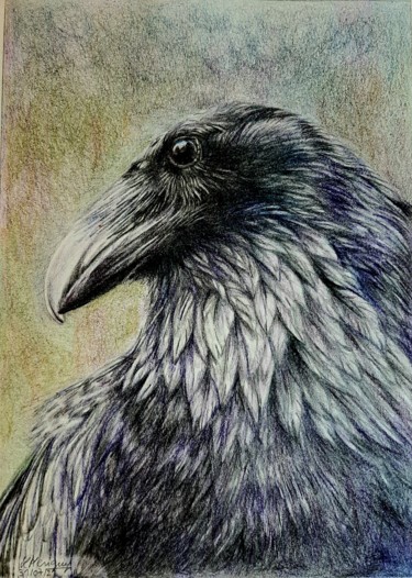 Drawing titled "Corbeau" by Laurence Keriguy, Original Artwork, Pencil