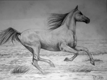 Drawing titled "Liberté" by Laurence Keriguy, Original Artwork, Pencil