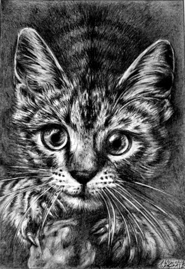 Drawing titled "Les griffes du chat" by Laurence Keriguy, Original Artwork, Pencil