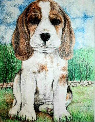 Drawing titled "Chiot beagle" by Laurence Keriguy, Original Artwork, Pencil