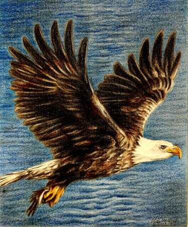 Rysunek zatytułowany „L'envol de l'aigle” autorstwa Laurence Keriguy, Oryginalna praca, Ołówek