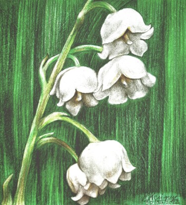 Drawing titled "Brin de muguet" by Laurence Keriguy, Original Artwork, Pencil