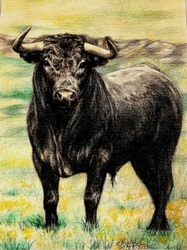 Desenho intitulada "Le taureau" por Laurence Keriguy, Obras de arte originais, Lápis