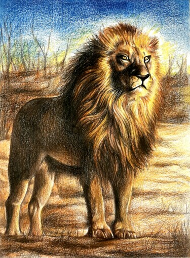Drawing titled "Le lion" by Laurence Keriguy, Original Artwork, Pencil