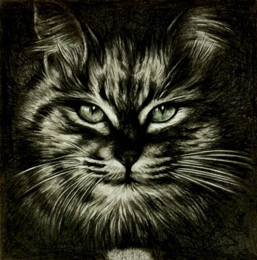 Drawing titled "Chat tigré" by Laurence Keriguy, Original Artwork, Pencil