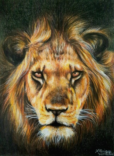 Drawing titled "Le vieux lion" by Laurence Keriguy, Original Artwork, Pencil