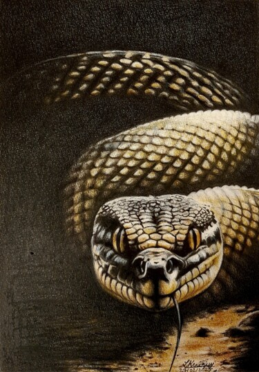 Desenho intitulada "Messire Serpent" por Laurence Keriguy, Obras de arte originais, Lápis