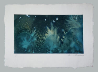 Estampas & grabados titulada "Éclats" por Laurence Prévost, Obra de arte original, Impresión digital