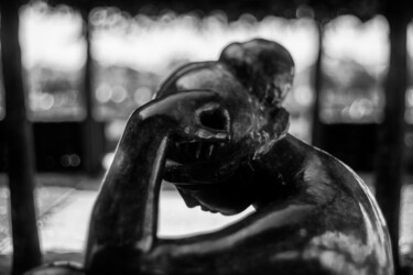 Fotografia intitolato "Statue de Maillol a…" da Laurent Bénard, Opera d'arte originale, Fotografia digitale