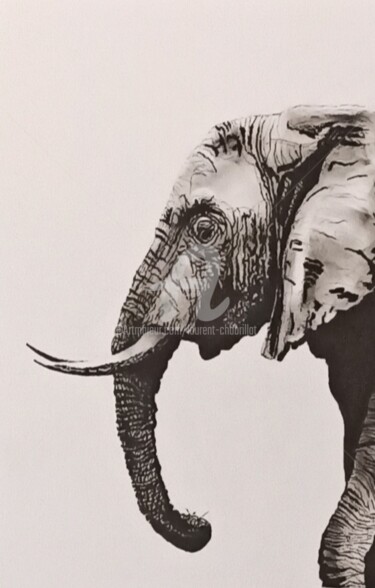 Dessin intitulée "L'éléphant 4" par Laurent Chabrillat, Œuvre d'art originale, Marqueur