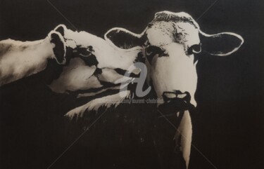 Dibujo titulada "bisous de vache" por Laurent Chabrillat, Obra de arte original, Carbón