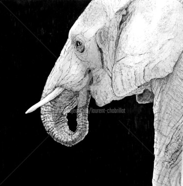 Dessin intitulée "Elephant 2" par Laurent Chabrillat, Œuvre d'art originale, Marqueur