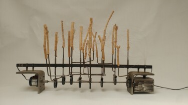 Escultura intitulada "brume" por Laurent Descotils, Obras de arte originais, Aço inoxidável