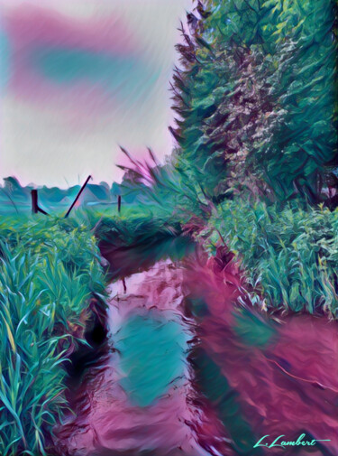 Arts numériques intitulée "Ruisseau de Jamagne" par Laurent Lambert, Œuvre d'art originale, Peinture numérique