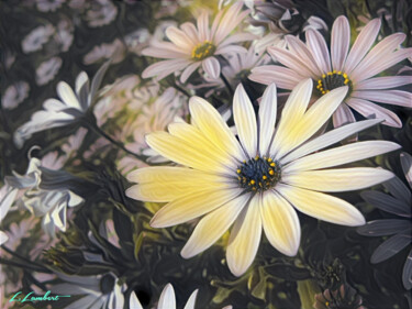 Arts numériques intitulée "Série Fleurs 3" par Laurent Lambert, Œuvre d'art originale, Photo montage