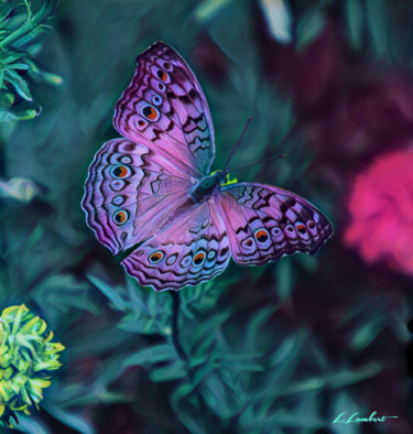 Digitale Kunst mit dem Titel "Papillon" von Laurent Lambert, Original-Kunstwerk, Digitale Malerei