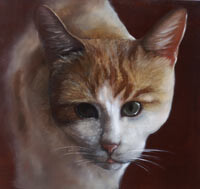 Malerei mit dem Titel "Monsieur le chat" von Laurent Maameri, Original-Kunstwerk, Öl Auf artwork_cat. montiert