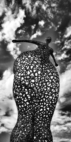 Sculpture titled "Plongeon" by Laurent Maëro, Original Artwork, Stainless Steel