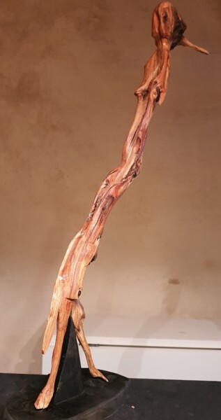 Sculpture titled "sur la croisette" by Laurent Malouvet, Original Artwork, Wood