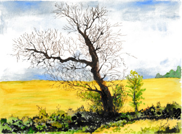 Painting titled "arbre dans champ de…" by Laurent Senechau, Original Artwork, Watercolor