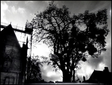 Photographie intitulée "Arbre £ Cathédrale.…" par Laurent Senneville, Œuvre d'art originale, Photographie argentique