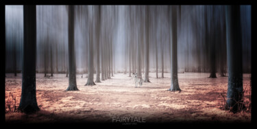 Fotografia intitulada "Fairytale" por Laurent Virzi, Obras de arte originais, Fotografia digital Montado em Alumínio