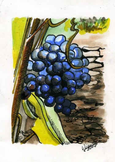 Zeichnungen mit dem Titel "grappe de raisin" von Laure Vieusse, Original-Kunstwerk