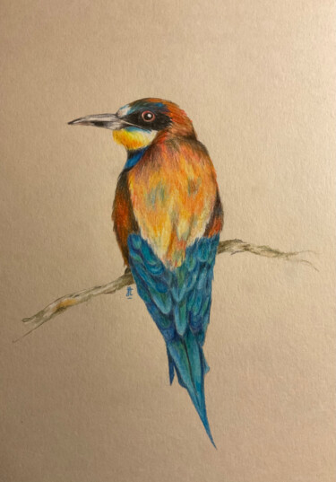 Dessin intitulée "bird" par Lautiard, Œuvre d'art originale, Crayon