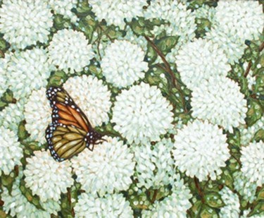 Painting titled "monarch butterfly" by Peter Crighton, Original Artwork, Oil