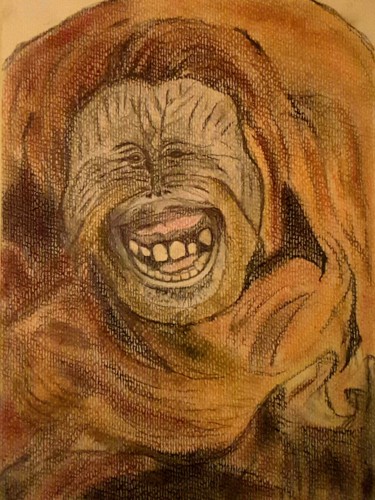 Zeichnungen mit dem Titel "Orang Utan" von Sigrid Helmlinger, Original-Kunstwerk, Kreide