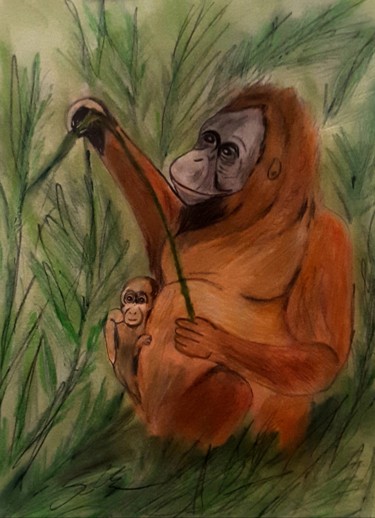 Dibujo titulada "Orang Utan Mama" por Sigrid Helmlinger, Obra de arte original, Tiza