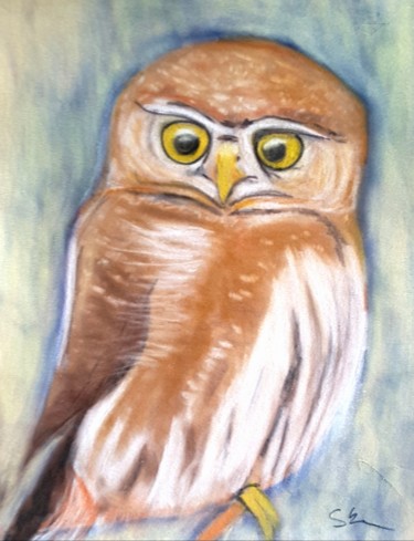 Painting titled "Eule" by Sigrid Helmlinger, Original Artwork, Pastel