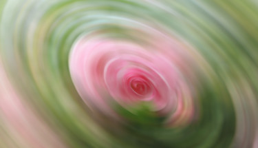 Fotografia intitolato "pink-rose-in-a-vort…" da Vesna Lazarevic, Opera d'arte originale, Fotografia digitale