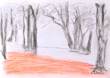 Tekening getiteld "Bosco invernale" door Aurelio Nicolazzo, Origineel Kunstwerk, Houtskool