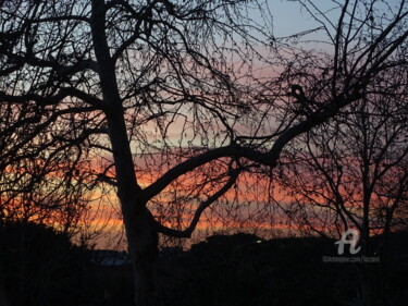 Fotografie getiteld "Sunset in winter wi…" door Aurelio Nicolazzo, Origineel Kunstwerk, Digitale fotografie