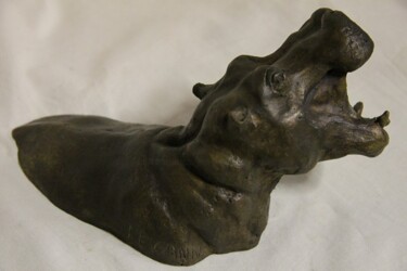Sculpture titled "jeune hippopotame d…" by Le Cann, Original Artwork, Metals