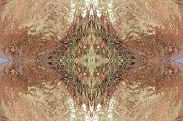 Digitale Kunst getiteld "Symétrie emmêlée" door Léa Coutureau, Origineel Kunstwerk, Foto Montage