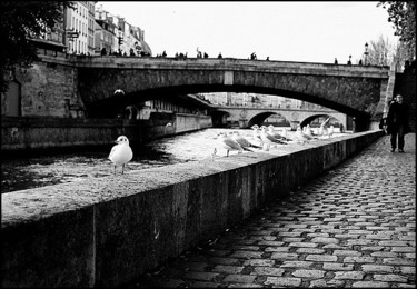 Photographie intitulée "Mouettes sur Seine" par Léa Sg, Œuvre d'art originale
