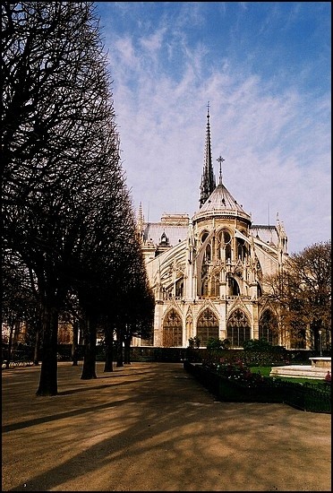 Photographie intitulée "Notre-Dame" par Léa Sg, Œuvre d'art originale