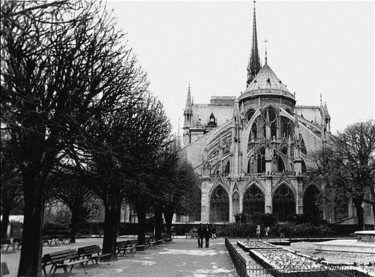 Photographie intitulée "Notre-Dame (vue arr…" par Léa Sg, Œuvre d'art originale