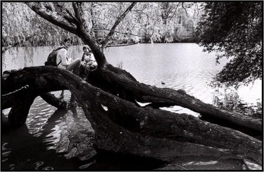 Photographie intitulée "Sur un arbre" par Léa Sg, Œuvre d'art originale