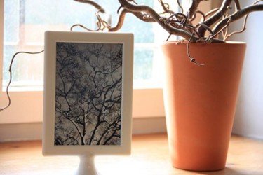 Photographie intitulée "arbre petit format" par L'Écla, Œuvre d'art originale