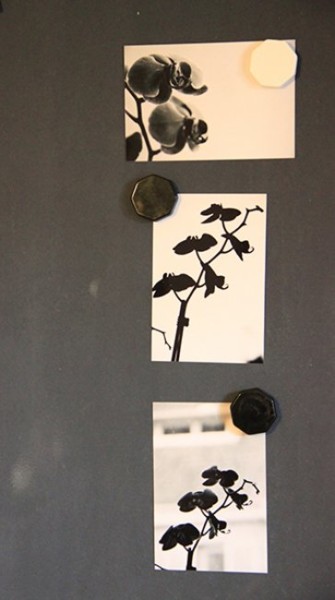 Photographie intitulée "orchidées aimantées" par L'Écla, Œuvre d'art originale