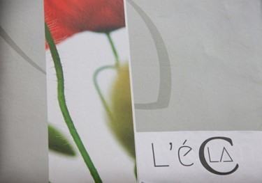 Photographie intitulée "couverture du book" par L'Écla, Œuvre d'art originale