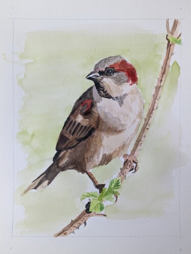 Painting titled "The Sparrow" by Lee Davison, Original Artwork, Watercolor