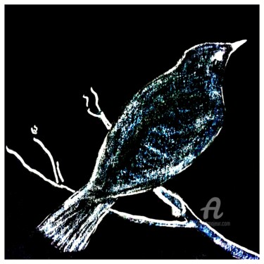 Drawing titled "Blackbird" by Leendert Hendrik, Original Artwork, Digital Photography