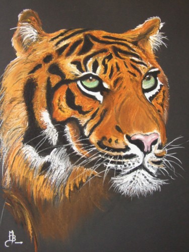 Painting titled "Roha le tigre" by Le Fléchois, Original Artwork, Pastel Mounted on Glass