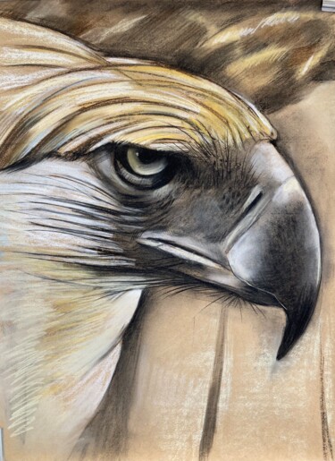 Zeichnungen mit dem Titel "Adler, Augenblicke,…" von Tius, Original-Kunstwerk, Pastell