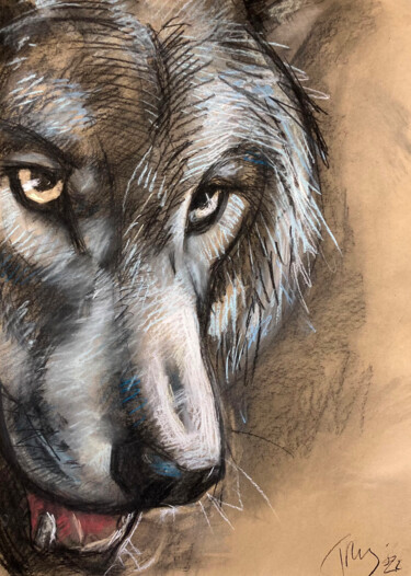 Drawing titled "Wolf, Augenblicke,…" by Tius, Original Artwork, Pastel
