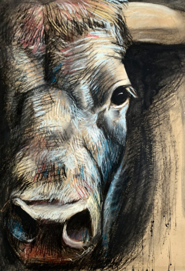 Zeichnungen mit dem Titel "Augenblicke, Stier,…" von Tius, Original-Kunstwerk, Pastell